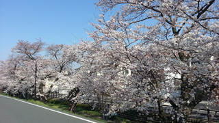 20150330_142019.jpg