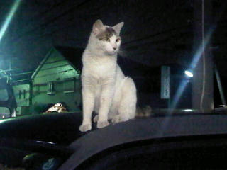 IMG00968-20120729-0140.jpg